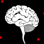 apolipoprotein-e-Ε4-and-alzheimer’s-disease-risk-linked