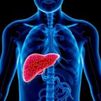 elderly-drug-related-liver-injury:-incidence-and-risks