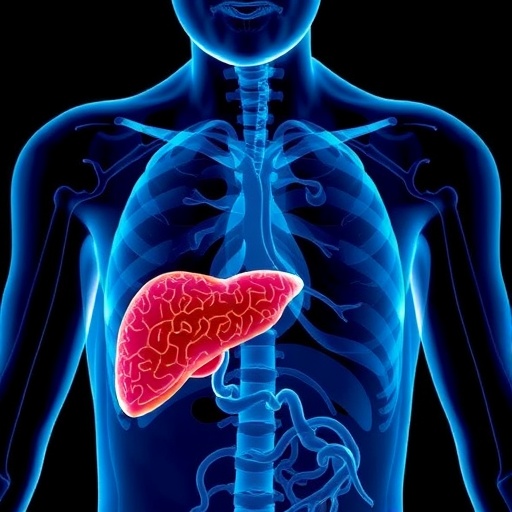 elderly-drug-related-liver-injury:-incidence-and-risks