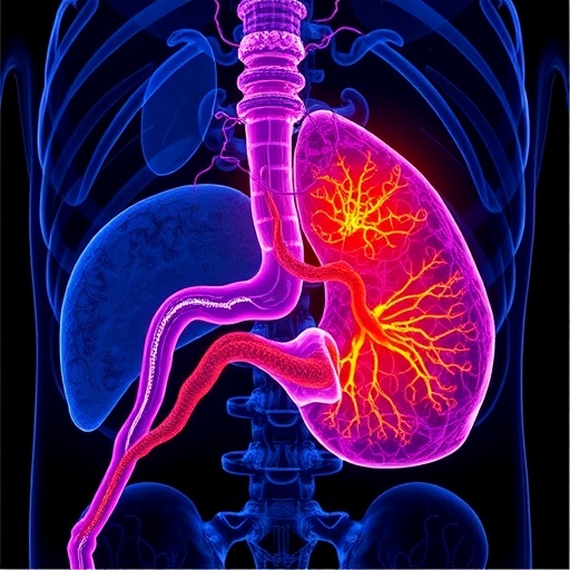 exploring-tumor-draining-lymph-nodes-in-bladder-cancer