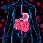 gut-microbiota’s-genetic-role-in-bone-mass