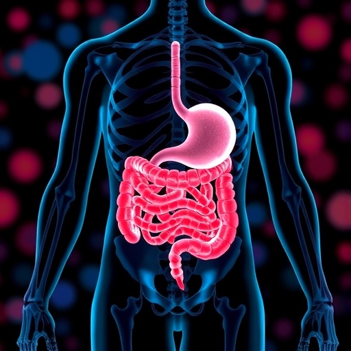 gut-microbiota’s-genetic-role-in-bone-mass