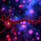 stem-cell-chromatin-reveals-myelodysplastic-transcription-changes