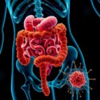 gut-fungi-and-microbes-linked-to-lupus-disease
