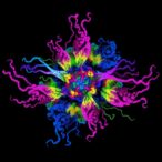 beyond-brca:-decoding-high-grade-serous-ovarian-cancer