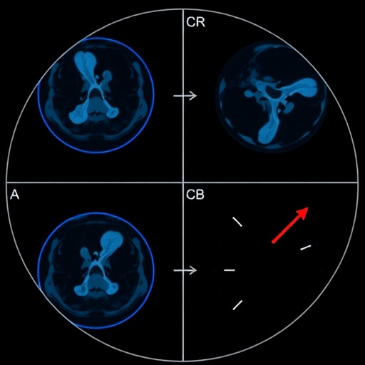 value-based-health-care:-a-radiology-case-study