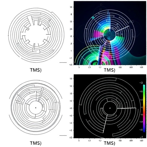 impact-of-tms-coil-types-on-phosphene-threshholds