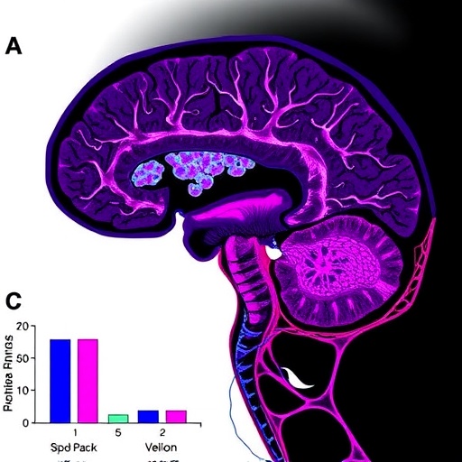 usp25-weakens-tumor-immunosuppression-in-head,-neck-cancer