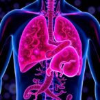 apocynin-reduces-liver-fibrosis-via-stress-and-inflammation