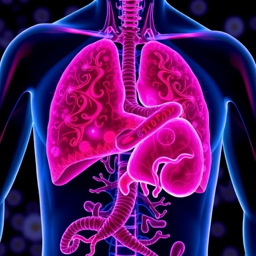 apocynin-reduces-liver-fibrosis-via-stress-and-inflammation