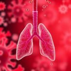 zinc-oxide/berberine-nanoparticles:-hope-against-acute-respiratory-distress