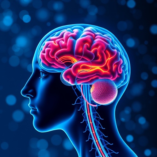 social-defeat-alters-theta-oscillations-in-brain-regions