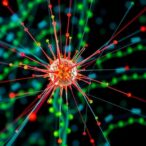guide-to-single-cell-rna-transcriptomics-unveiled