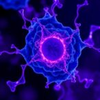 hybrid-sa-10-and-plga-nanosuspension-safeguard-retinal-cells