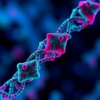 boosting-cancer-immunotherapy-by-targeting-dna-repair