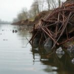 using-machine-learning-to-combat-water-pollution