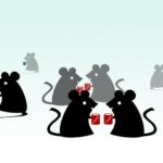 autism-linked-behaviors-in-mice-reduced-by-nutrient-trio