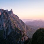 dyne-readies-fda-push-after-dmd-exon-51-med-excels-in-trial