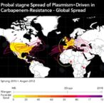 global-spread-of-plasmid-driven-carbapenem-resistance