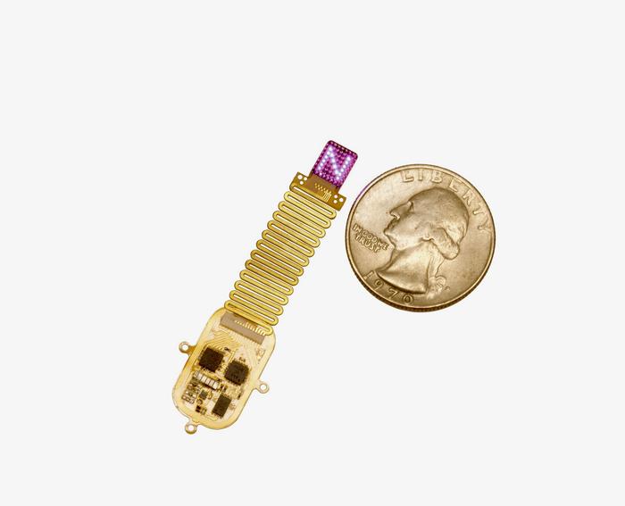 implant-delivers-patterned-optogenetic-stimulation,-generates-artificial-perception-in-mice