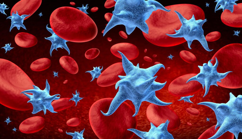 ash:-novartis-details-ianalumab’s-phase-3-win-in-rare-blood-disease