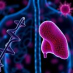 hbv-and-hdv-genotypes-link-to-liver-disease-risk