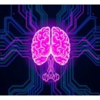 transformer-deep-learning-boosts-migraine-gwas-discoveries
