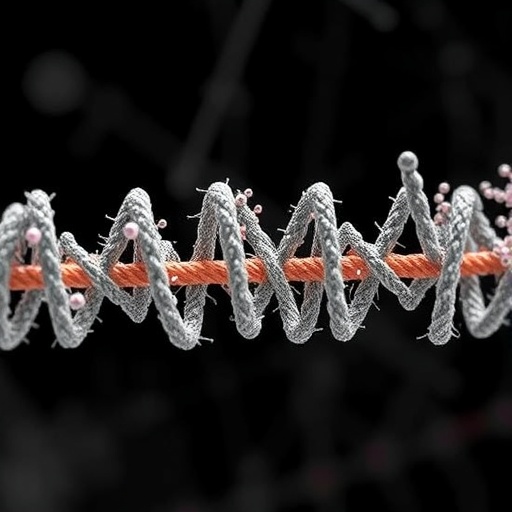 mitochondrial-genome-reveals-novel-structure-in-neolamarckia