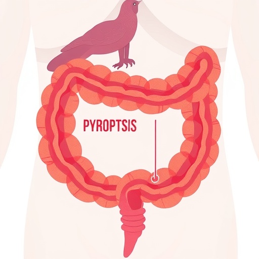 pyroptosis-in-ulcerative-colitis:-key-biomarkers-and-therapies