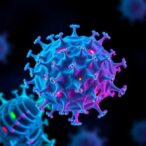 enhanced-hdr:-screening-cas9-variants-with-diphtheria-toxin