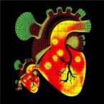 mapping-age-related-mitochondrial-changes-in-mouse-hearts