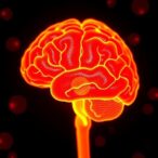 reevaluating-cerebrolysin-effects-on-tauopathy-model