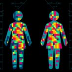 new-tool-visualizes-gene-expression-by-gender
