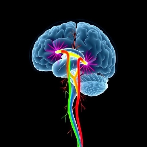 striatal-indirect-pathway-drives-hesitation-behavior
