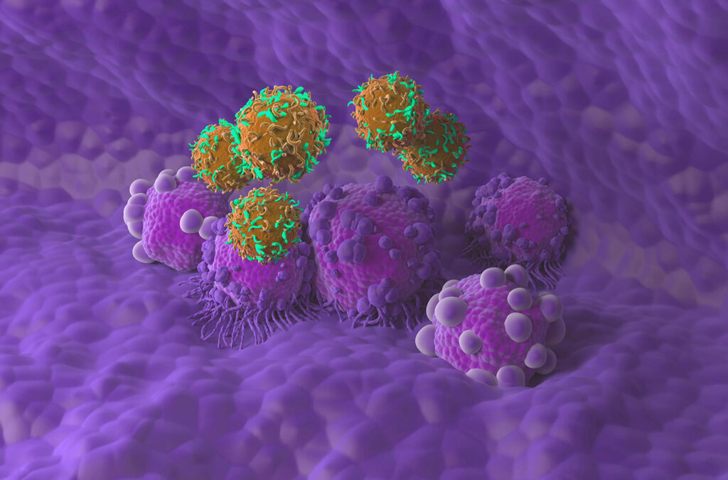 next-gen-car-t-cells-destroy-cancer-cells-with-fewer-toxic-effects-in-mice