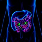 citalopram-affects-gut-microbiome-in-female-rats