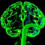 sex-differences-in-bmp-signaling-affect-neurogenesis-in-alzheimer’s