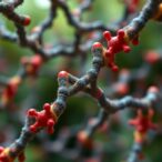 genetic-interactions-drive-complex-traits,-study-finds