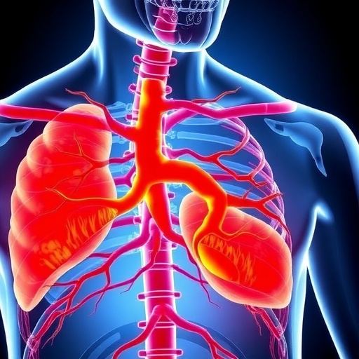niacin-blocks-vascular-calcification-through-sirt-pathways