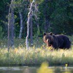 2026-outlook:-biotech-poised-to-outperform-bear-markets-of-’21-24,-analyst-says