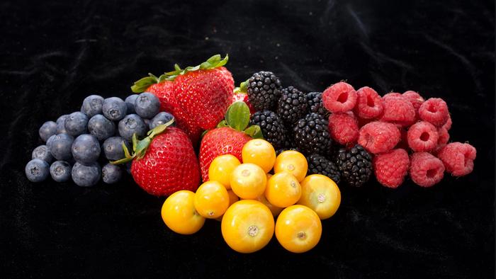 crispr-streamlines-goldenberry-growth-to-enable-large-scale-farming