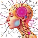 pathology-models-adaptation-boosts-fairness,-generalization