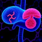 er-stress-and-lipid-metabolism:-tumor-adaptation-explained