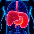 diet-drives-rkip-loss,-disrupts-liver-lipid-balance
