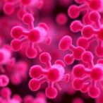 vancomycin-heteroresistance-in-mrsa-predicts-treatment-failure