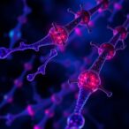 aurora-a-boosts-hcc-growth-by-regulating-mitochondria