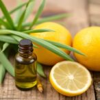 lemongrass-oil-diminishes-porphyromonas-gingivalis-activity