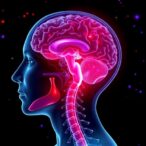 lysophosphatidic-acid’s-role-in-demyelination-linked-pain