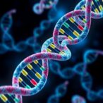 hect-e3-ligases:-guardians-of-dna-repair