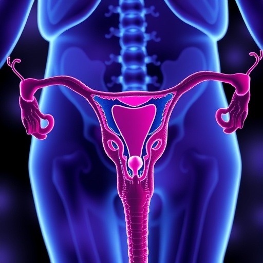ovarian-cancer:-new-insights-and-treatment-innovations